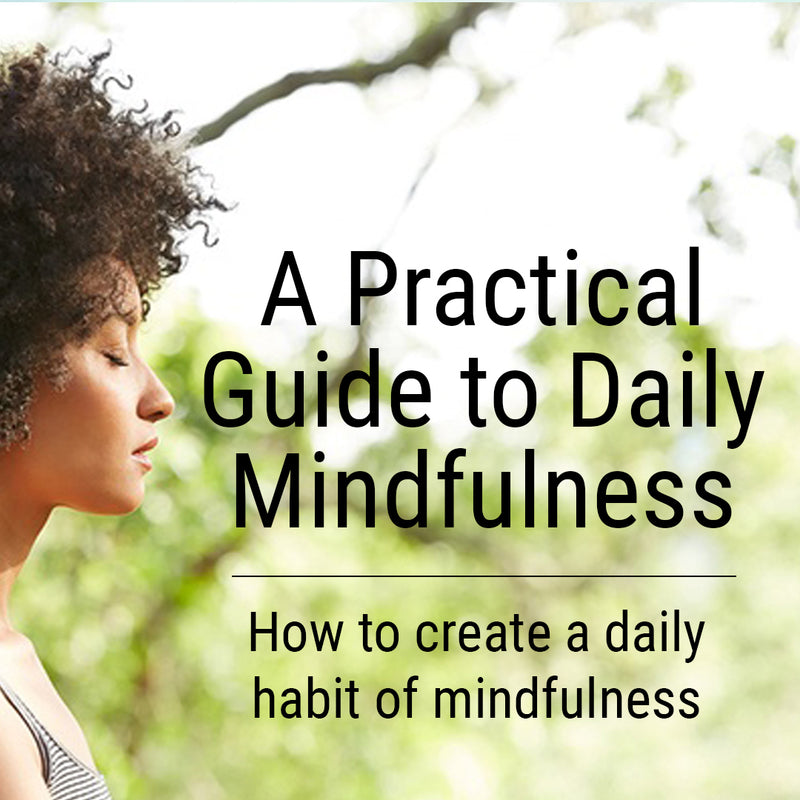 A Practical Guide to Daily Mindfulness Course