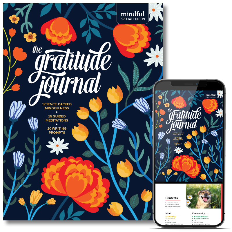 The Gratitude Journal (special edition, print + digital) – Mindful Store