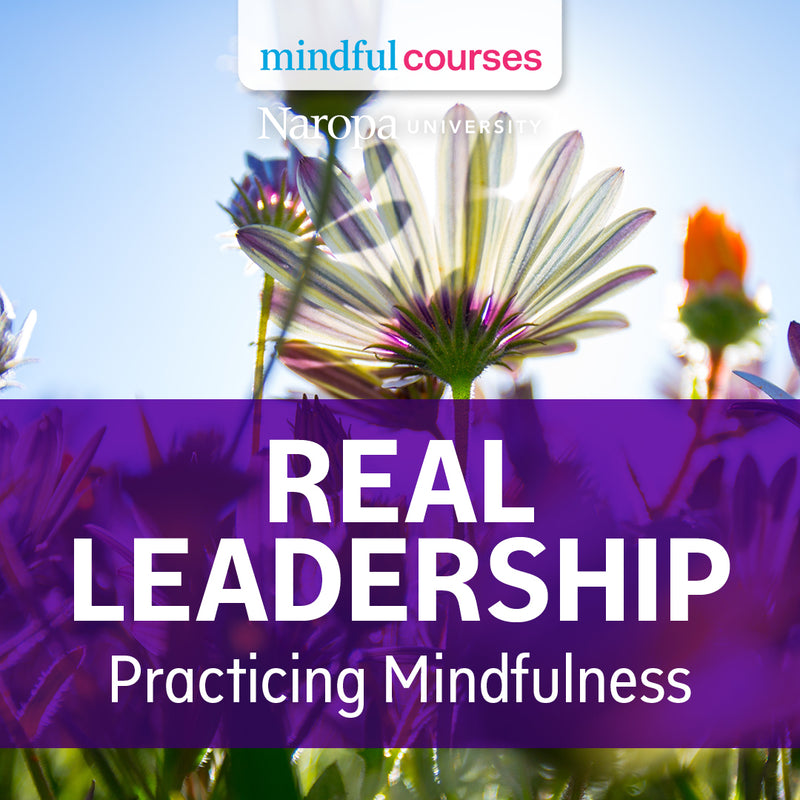 Real Leadership: Practicing Mindfulness at Work Course