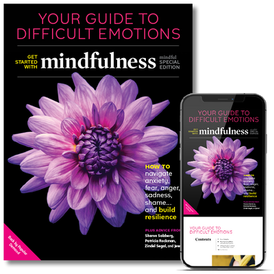Your Guide to Difficult Emotions (special edition, print + digital)