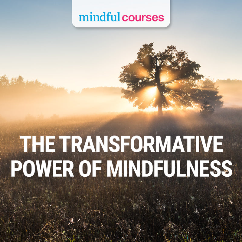 The Transformative Power of Mindfulness Course